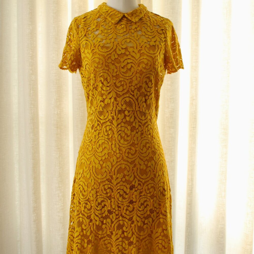 Marigold Zara Lace High Collar Dress
